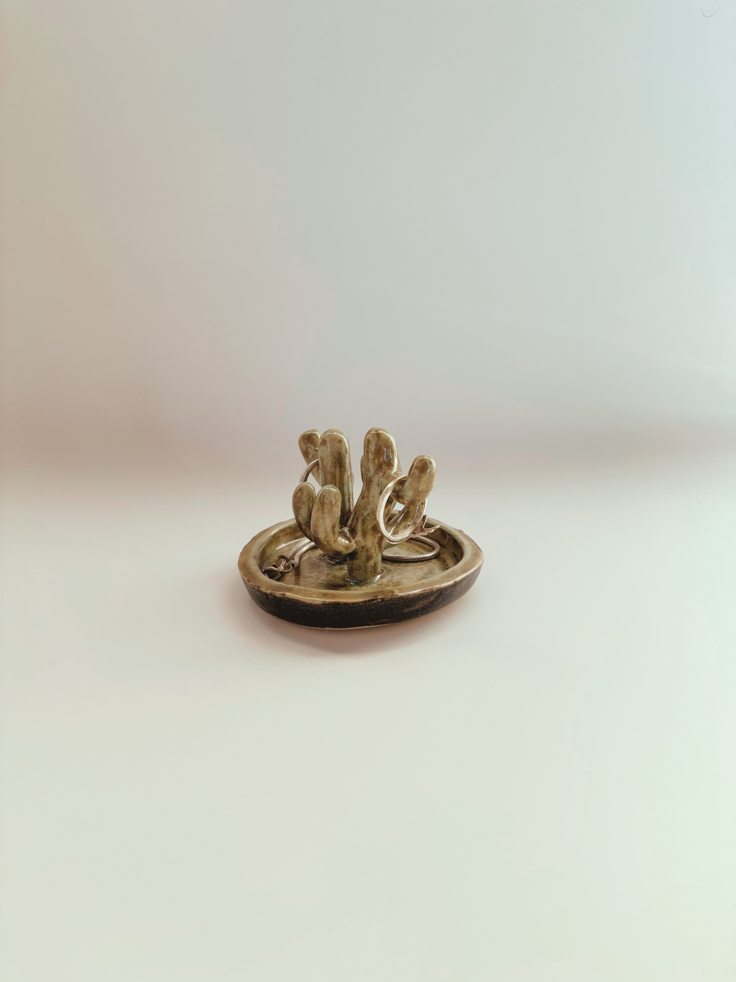Cactus Jewelry Bowl